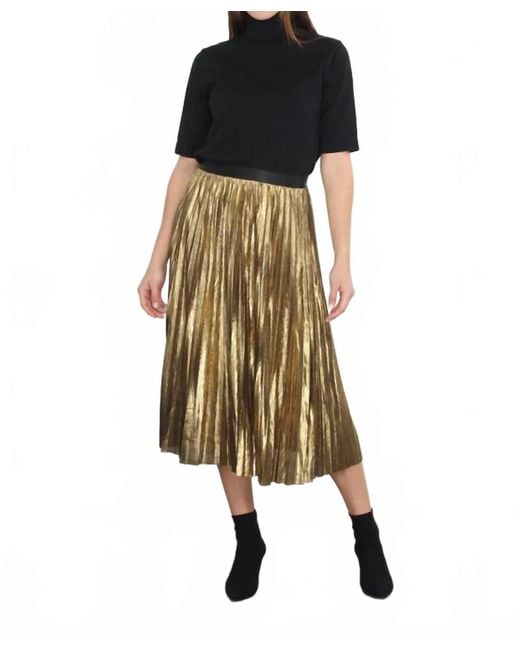 Zero Degrees Celsius Metallic Pleated Skirt