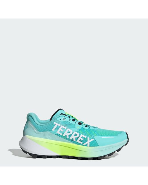 Adidas Multicolor Terrex Agravic 3 Trail Running Shoes for men