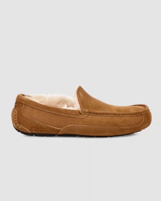 Ugg White Ascot Slipper for men