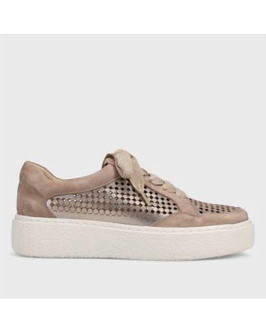 Vaneli Multicolor Yago Lace Up Sneaker
