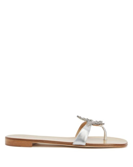 Giuseppe Zanotti Natural Eligia