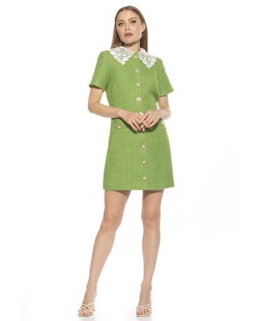 Alexia admor green top over black dress