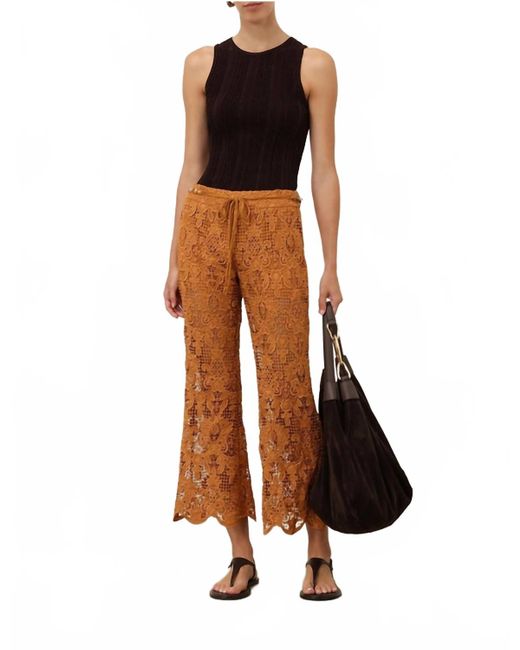 Zimmermann Brown Coco Lace Flare Pant