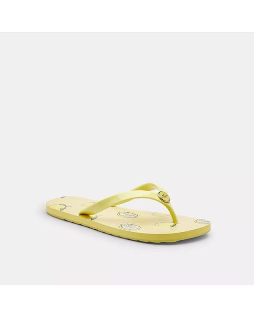 COACH Yellow Zayn Flip Flop With Fruit Print