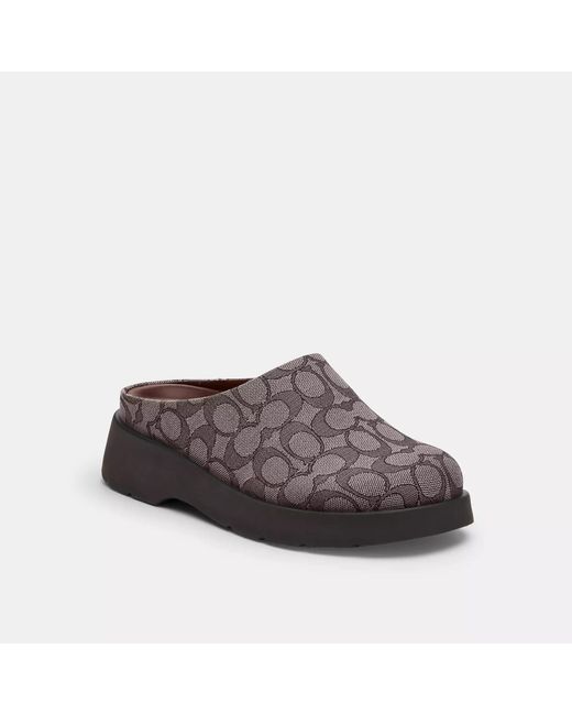 COACH Brown Link Mule