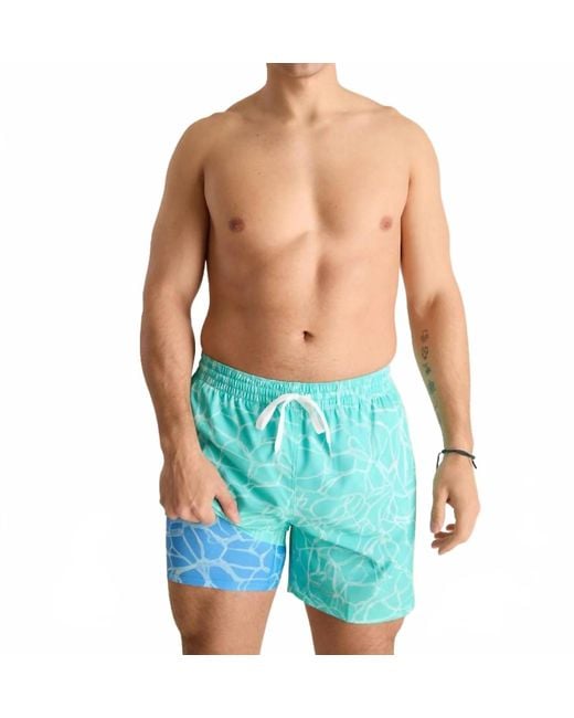 Chubbies Blue Pool Parties Swim Trunk for men
