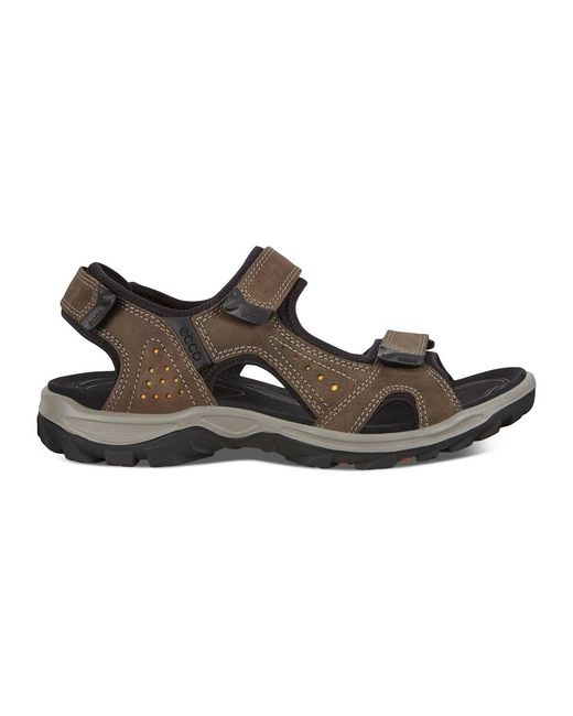 Ecco Brown Offroad Lite Sandal for men