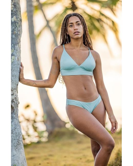 IMS Multicolor Miller Top