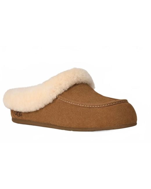 Ugg Brown Ansley Mule