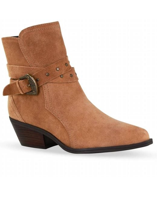 BOTTER Brown Couro Camurca Bovina Boot