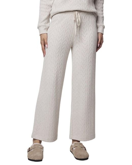Splendid Gray Sweatersoft Pant