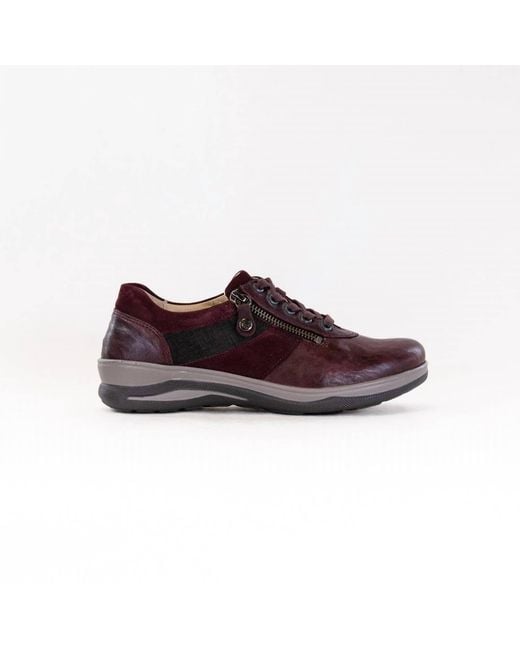 Fidelio Brown Multistretch Mitzy Shoes