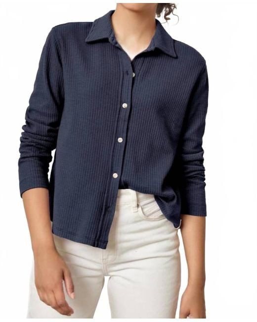 Lilla P Blue Diane Collared Button Down Shirt