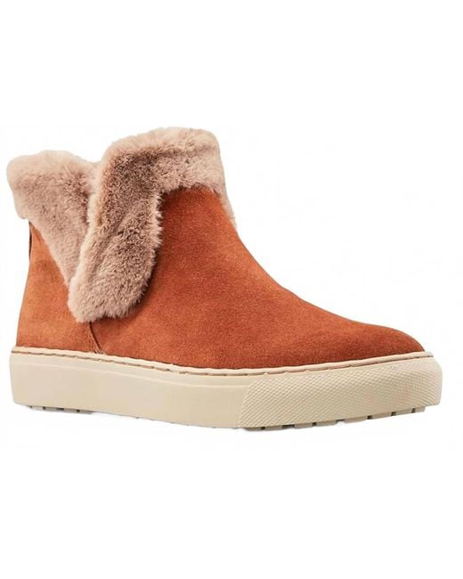 Cougar Shoes Brown Duffy Boot