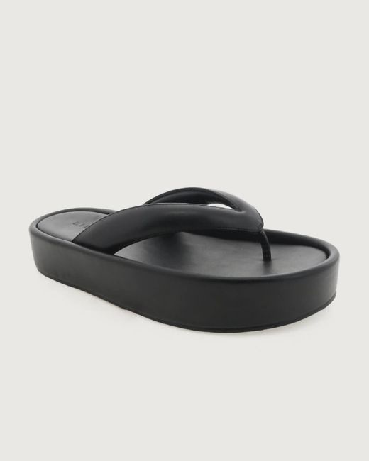 Billini Black Indah Platform Sandal