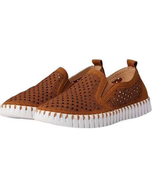 Ilse Jacobsen Brown Tulip 140Wom Shoe