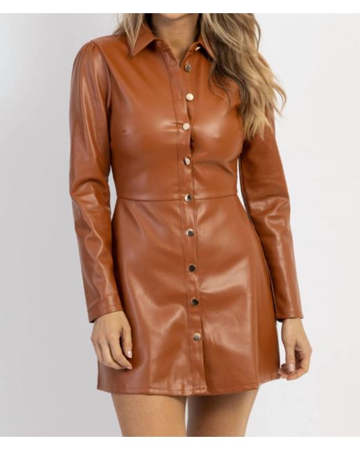 Olivaceous Brown Sandino Leather Mini Dress