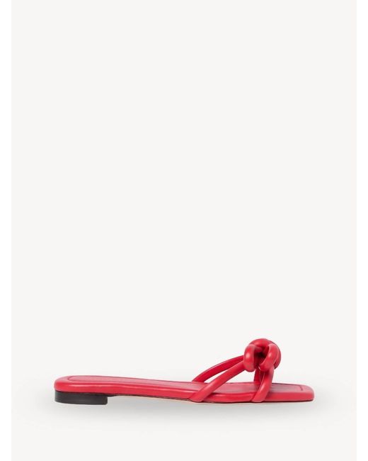 Loeffler Randall Pink Hadley Bow Flat Sandal