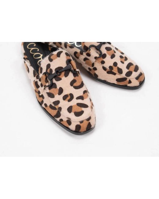 Ccocci Black Adelia Loafer