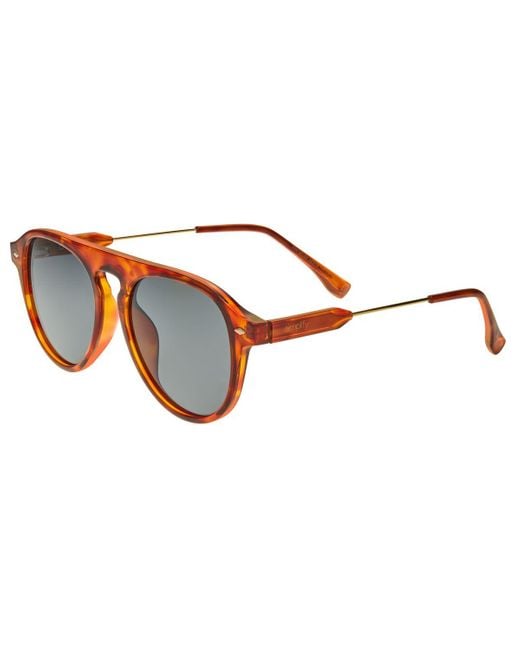 Simplify Brown Carter Polarized Sunglasses for men
