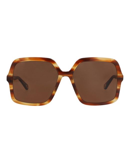 Chloé Brown Square-Frame Bio Acetate Sunglasses