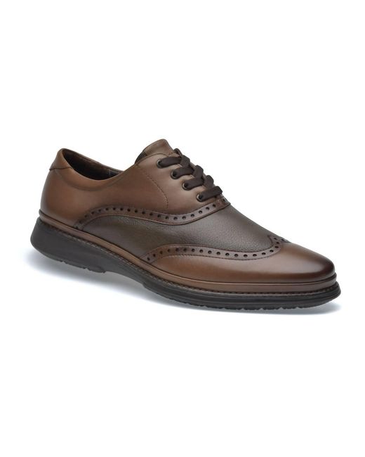 Pazstor Brown Oxfords Baruc James for men