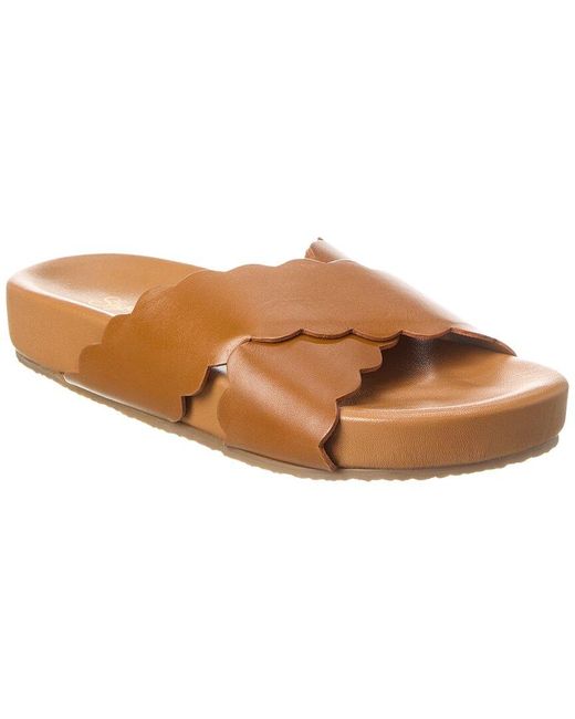 Seychelles Brown Odie Leather Sandal