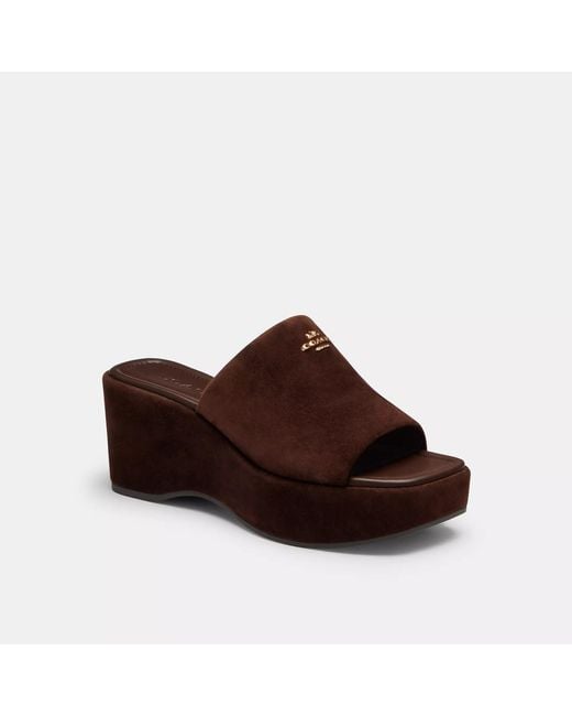 COACH Brown Phoebe Platform Sandal