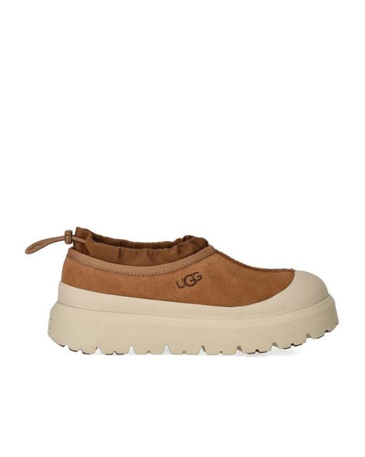 Ugg Brown Tasman Weather Hybrid Chestnut Whitecap Slipper for men
