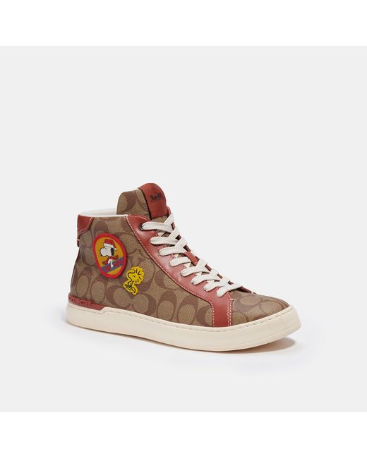Coach Outlet Coach X Peanuts Clip High Top Sneaker In Signature Canvas With  Patches in Brown for Men | Lyst