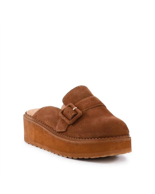 Seychelles Brown Come Together Open Back Platform Mules