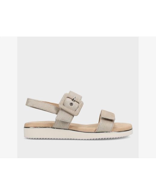 Vaneli Multicolor Elysha Sandal