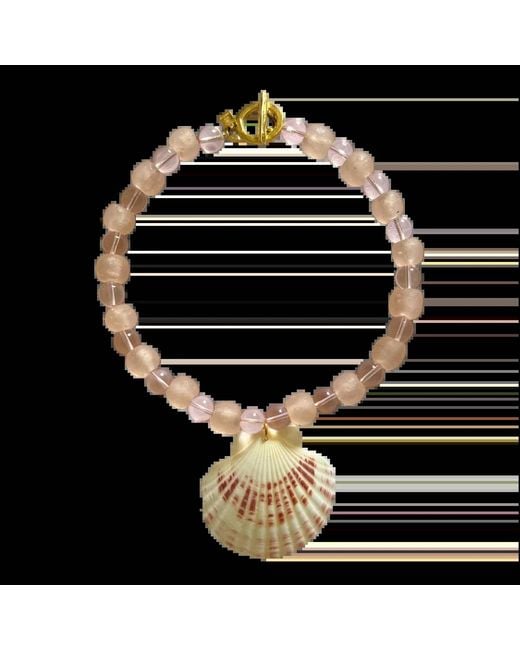 Sccollection Black Shell Necklace