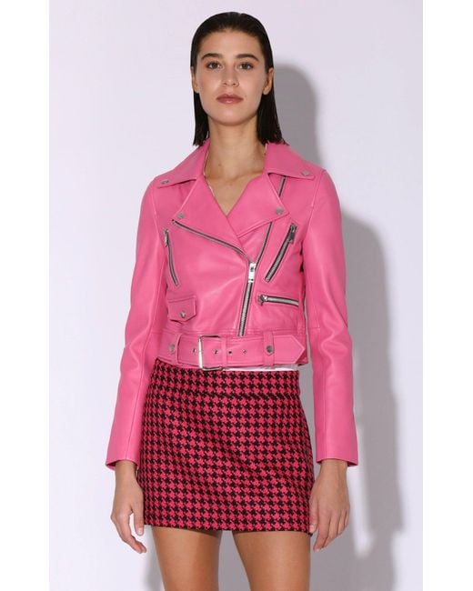 Walter Baker Red Nicole Jacket, Candy