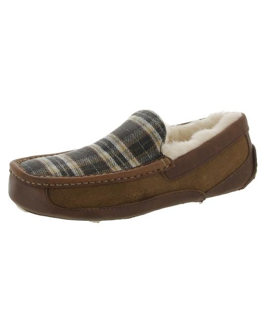 Ugg Brown Ascot Suede Plaid Loafer Slippers for men