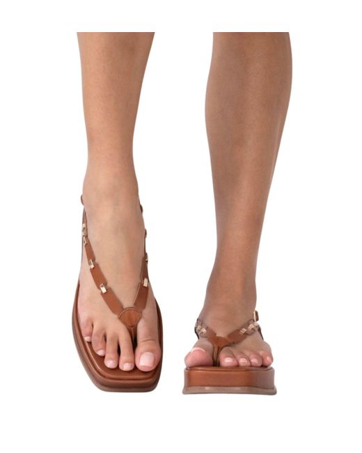 Cecelia New York Brown Kimbal Sandals