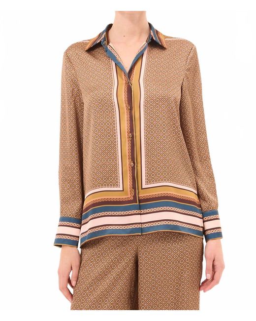 MISA Los Angles Brown Brook Top