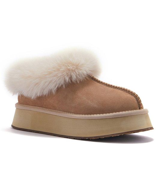 Australia Luxe Brown Outback Platfoam Suede Slipper