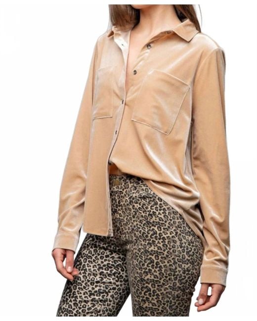 Easel Brown Button Down Collared Shirt