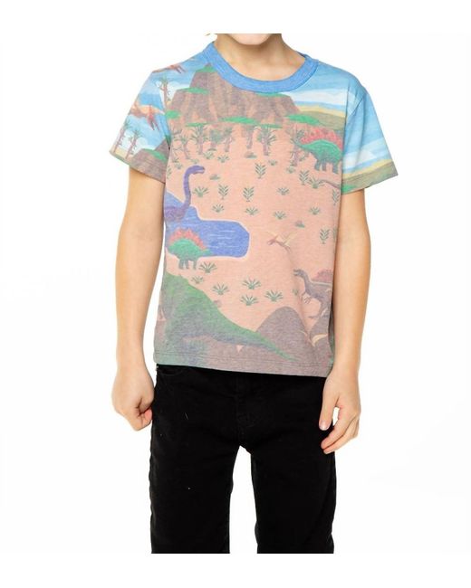 Chaser Brand Gray Boy's Dino Habitat Tee for men