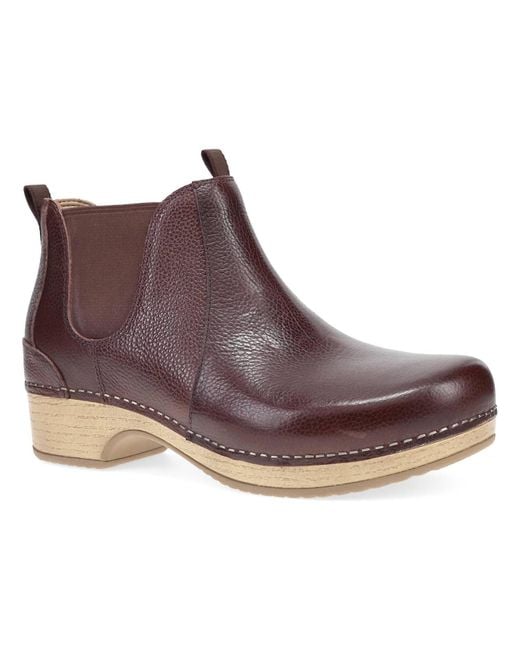 コロンビア産 レックスゾウカブト 115mmX51mm