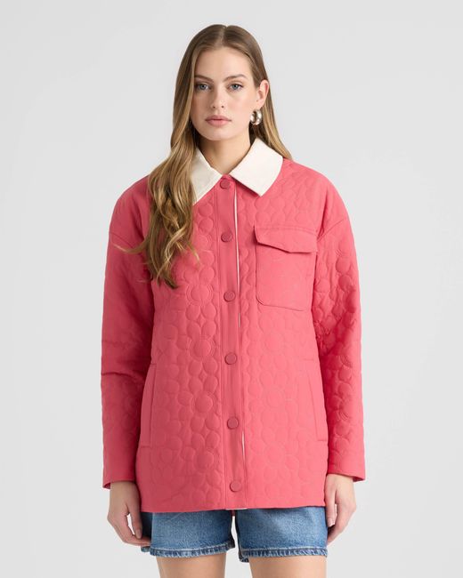 NVLT Pink Daisy Quilted Puffer Jacket