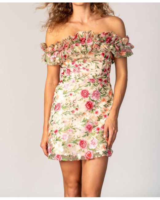 Lavender Brown Orange Amber Dress