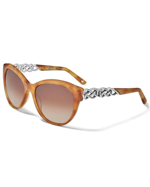 Brighton Brown Interlok Braid Sunglasses