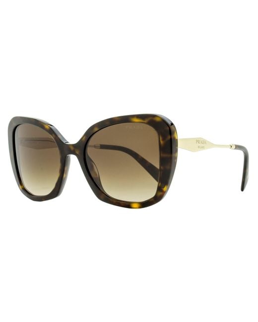 Prada Black Butterfly Sunglasses Spr03y 2au-6s1 Tortoise 53mm