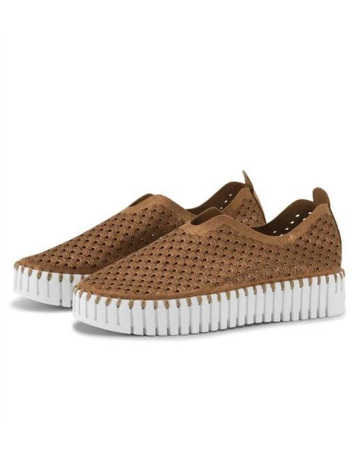 Ilse Jacobsen Brown Tulip Flats