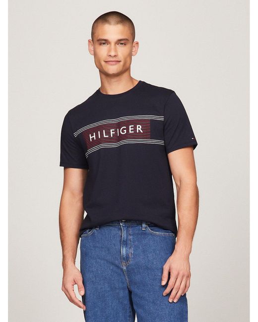 Tommy Hilfiger Blue Hilfiger Stripe Flag Logo T-shirt for men
