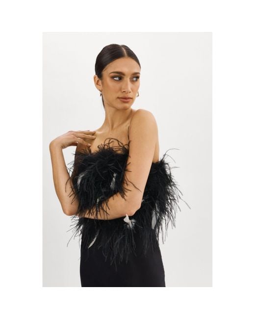 Lamarque Black Zaina Feather Bustier