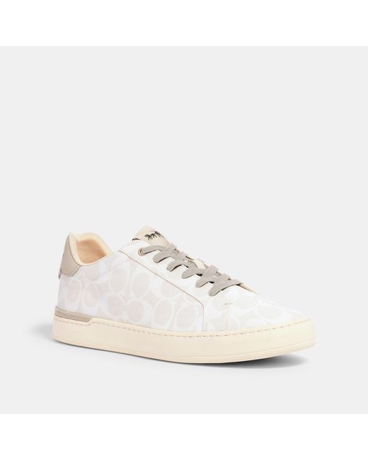 clip low top sneaker with coach print