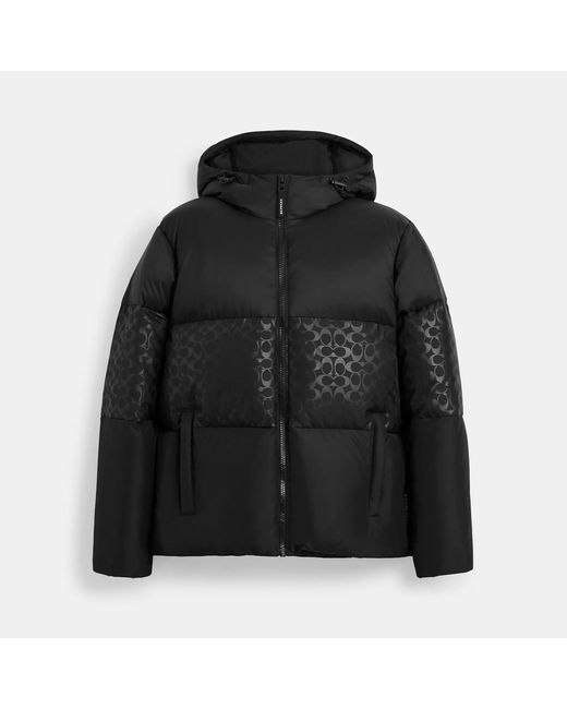 COACH Black Colorblock Down Jacket for men